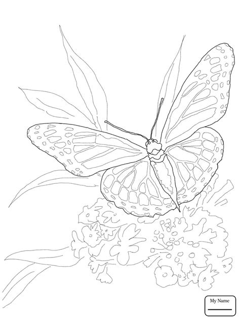 Realistic Nature Coloring Pages At Getdrawings Free Download