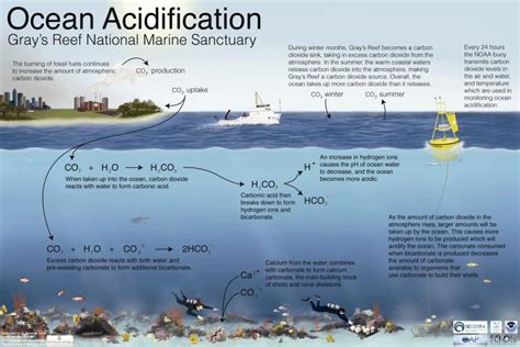 Ocean Acidification Monitoring Science Gray S Reef National Marine