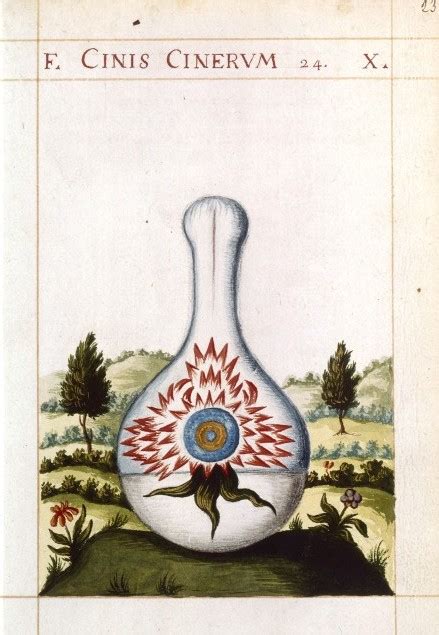 Alchemical Imagery Emblematic Manuscripts Donum Dei Paris