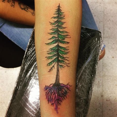 75 Simple And Easy Pine Tree Tattoo Designs Meanings 2019 Free