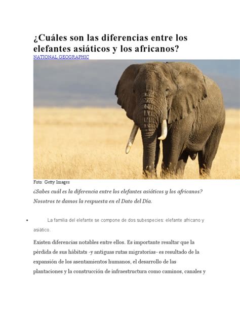 Cuáles Son Las Diferencias Entre Los Elefantes Asiáticos Y Los