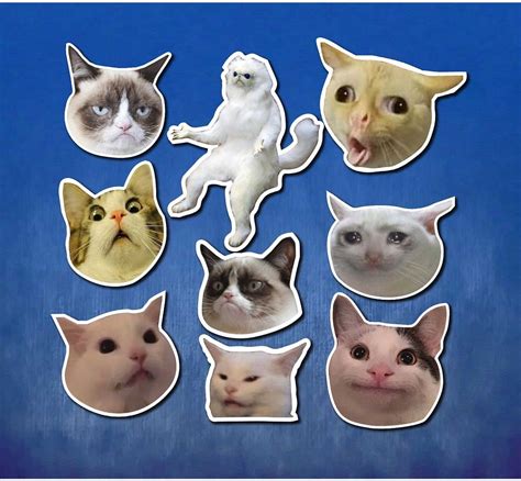Cat Meme Sticker Pack Cat Meme Sticker Set Cat Meme Glossy Stickers