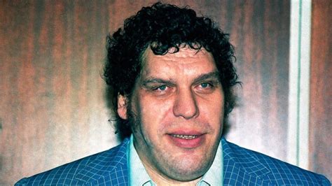 Vince McMahon Talks About Story Behind Hogan vs. Andre At WrestleMania