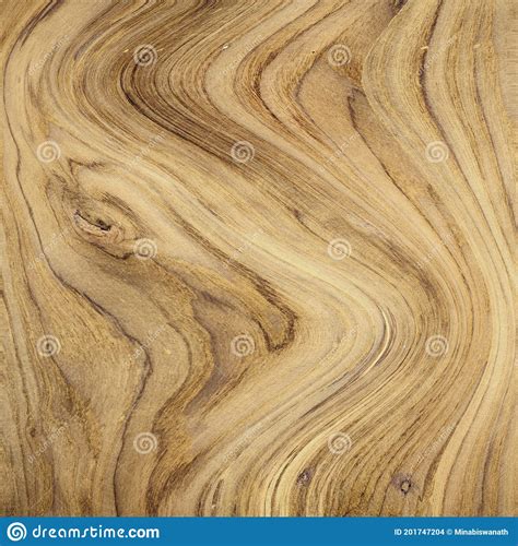 Beautiful Wood Texture Wood Design Or Pattern Stock Illustration