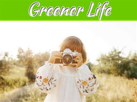 Top Ways To Live A Greener Life My Decorative