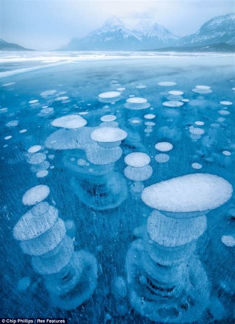 The Incredible Underwater Ice Bubbles Goes Here Daily Mail Online