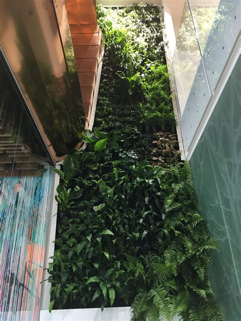 Green Walls Melbourne Vertiscape