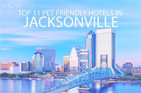 Top 11 Pet Friendly Hotels In Jacksonville Fl 2023 Wow Travel