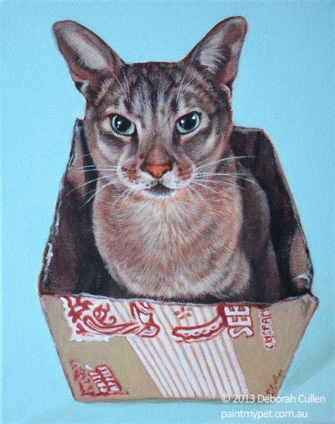 Bungy Abyssinian Cat Portrait Painting Paintmypet By Deborah Cullen