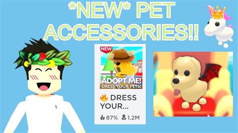 Find out what adopt me legendary pets are worth with three different value tier list to get fair trade and find out the demand and the rarest pet in 2021. *NEW*PET ACCESSORIES (ADOPT ME) - YouTube