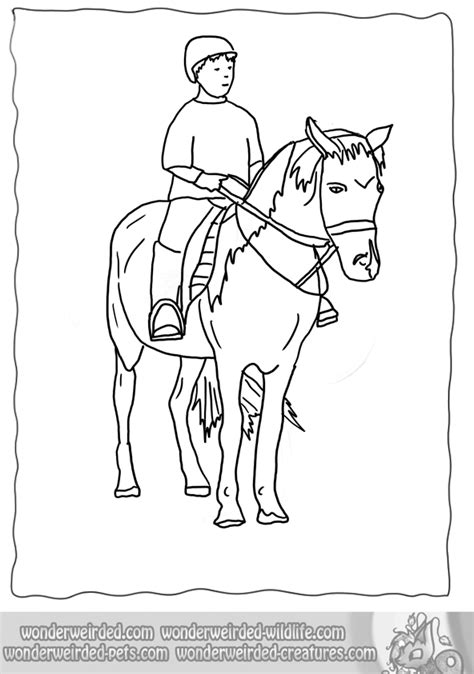 Swiss Tamil Horseback Riding Coloring Pages