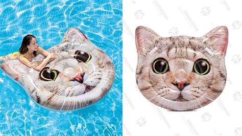 This Cat Head Pool Float Is The Only Thing You Need To Buy This Summer