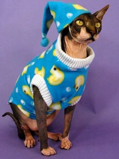 Ten Cats In Pyjamas Who Are Ready For Their Bed Times