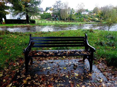 Leaf Covered Wet Seat Cranny © Kenneth Allen Cc By Sa20 Geograph