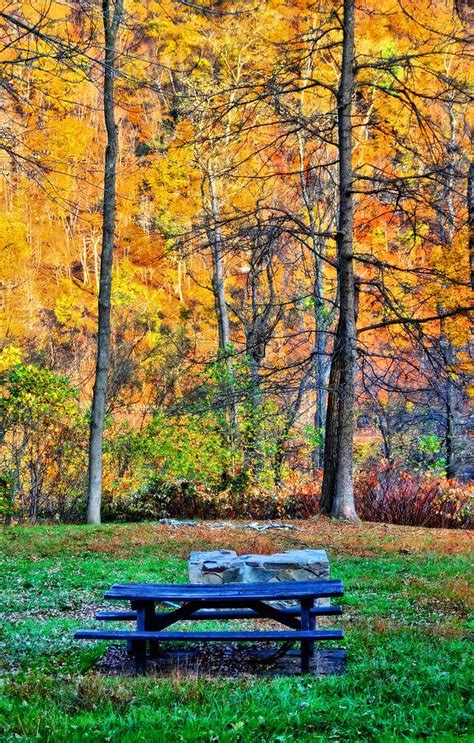 Picnic Table In Autumn Photograph By Dan Sproul