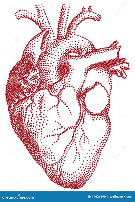 Corazón Rojo Ilustración Ilustración Del Vector Ilustración De Sano