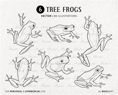 6 Tree Frogs Svg Clipart Bundle Frog Vector Drawings Green White And