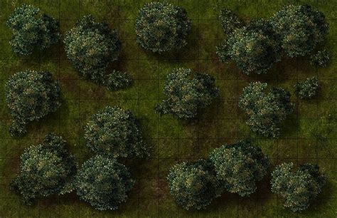 Maphammer Is Creating Battle Maps For Dandd Pathfinder And Other