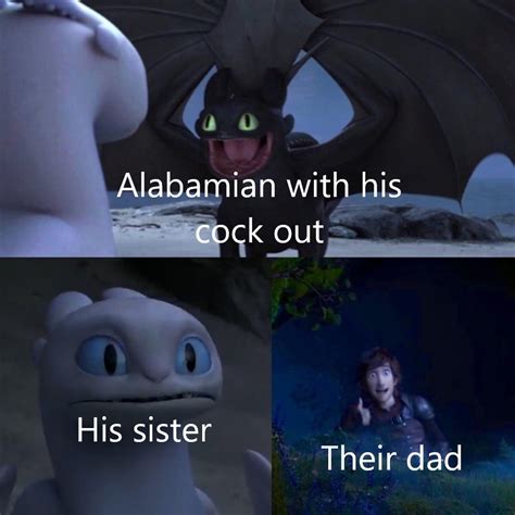 29 Funny Toothless Memes Thatll Help You Train Your Dragon Funny Gallery Ebaums World