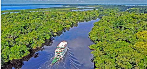 amazon clipper cruises a superior journey to the brazilian amazon
