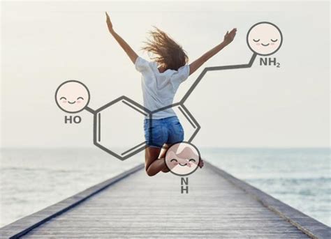 Qué Es La Serotonina Y Para Qué Sirve Funciones Y Propiedades
