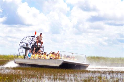 Visit The Everglades Everglades Alligators Ceetiz