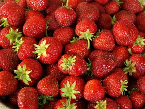 Strawberries Hd Wallpaper Background Image 2560x1920 Id434540