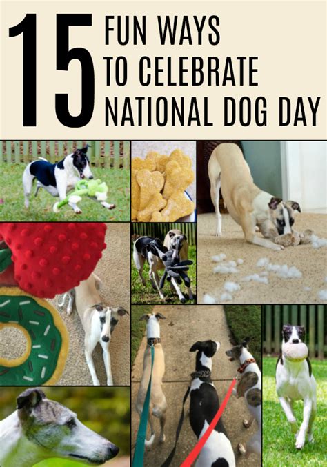 For an estimated 14,000 years, dogs have been our best friend in good times and bad; 15 Fun Ways to Celebrate National Dog Day - Spoiled Hounds