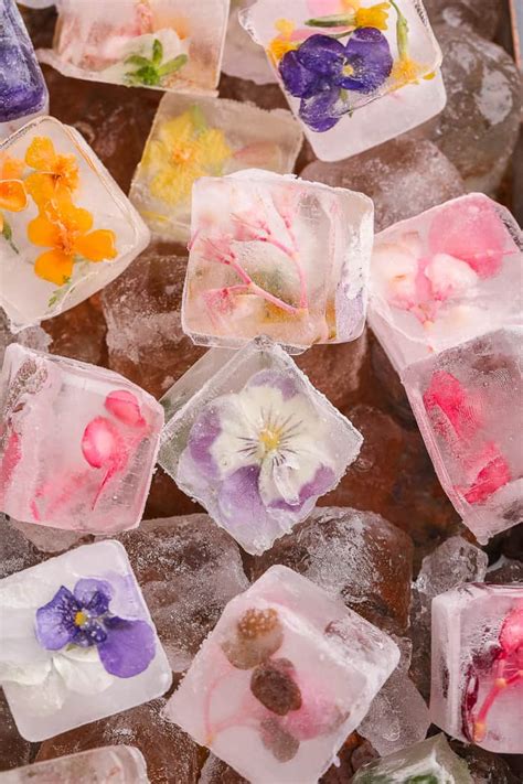 Edible Flower Ice Cubes A Classic Twist