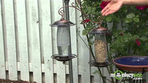 How To Provide Water For Birds Youtube