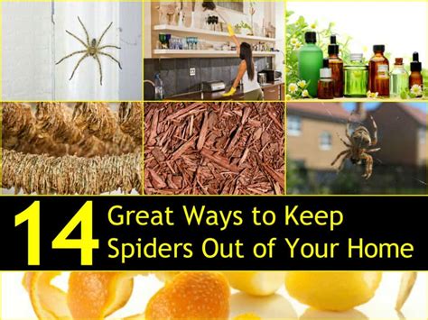 It is much easier to keep a conversation going if you talk about something that interests both parties. 14 Great Ways to Keep Spiders Out of Your Home Naturally