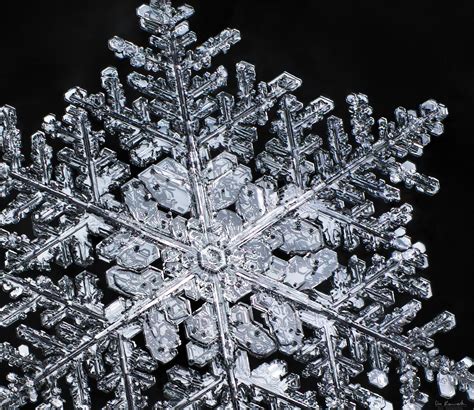 Snowflake Glowing Ice Snowflakes Snowflake Images Snow Crystal