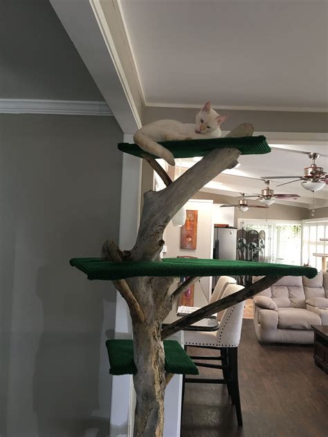 Here is a beautiful rustic cat tree that provides your place with ample space to play, relax, and stay active. DIY driftwood cat tree | Home decor, Dining table, Decor