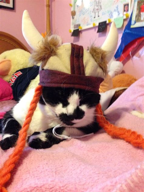 A Black And White Cat Wearing A Horned Hat On Top Of A Pink Bedspread