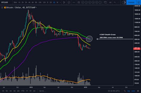 Wrapped dogecoin price today is ₹9.495. Bitcoin Price Prediction 7 Days | How To Earn Money Using ...