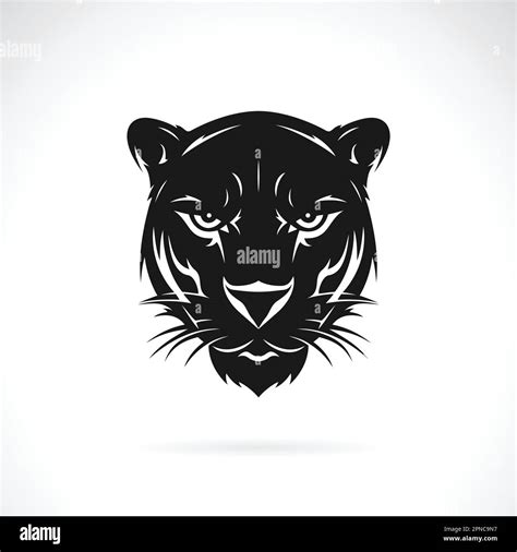 Vector Of A Black Panther Head Design On White Background Easy