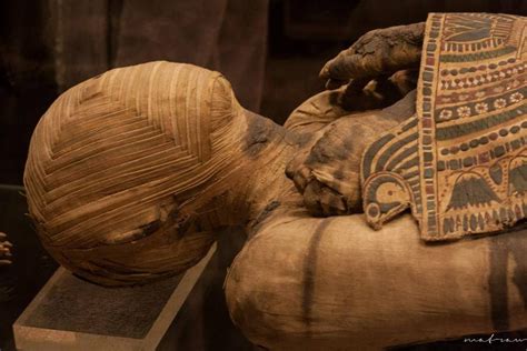 Mummy Of A Man Louvre Ptolemaic Period 332 30 Bc Egitto Figure