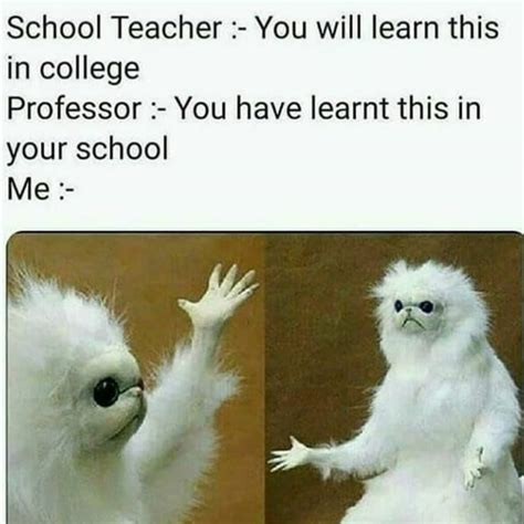 The Best Professor Memes Memedroid