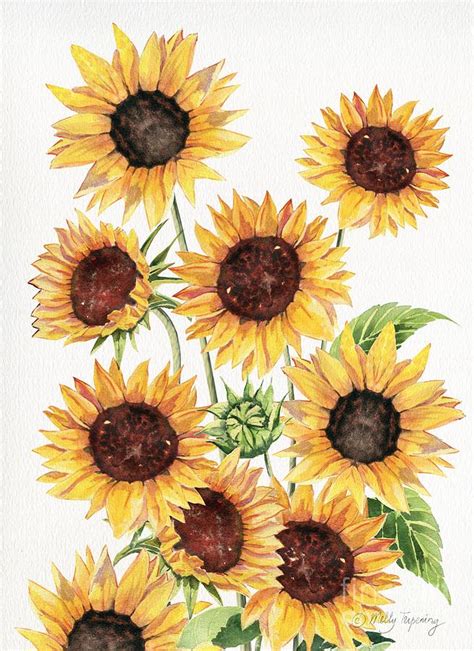 Sunflowers 3 Painting By Melly Terpening Pixels