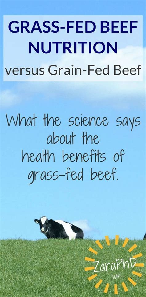 Grass Fed Beef Nutrition Information Beef Nutrition Grass Fed Beef Grass Fed Beef Benefits