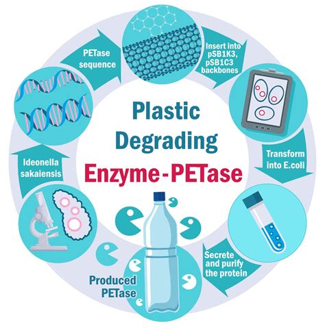 Plastic Eating Bacteria Can Bacteria Help Us In Degrading Plastic