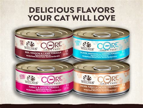 We are passionate about the wellbeing of. Wellness CORE Natural Canned Grain Free Wet Pate Cat Food ...