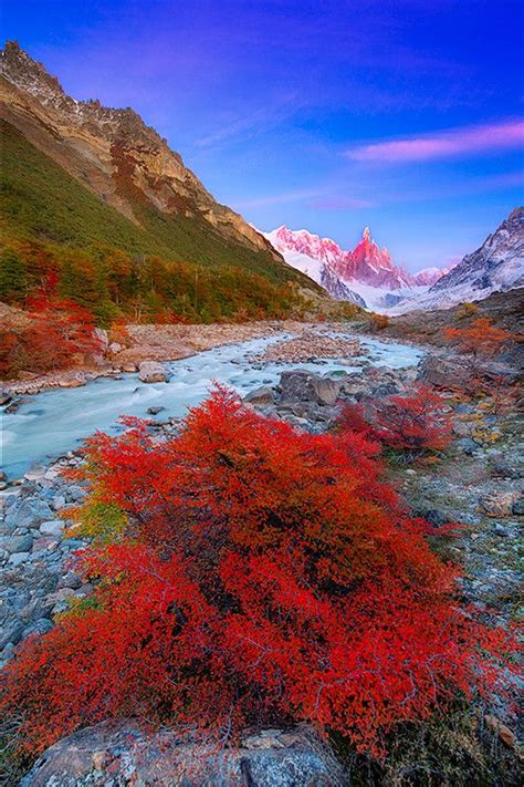 Libutron “ El Chalten Patagonia Argentina ©marcio Dufranc