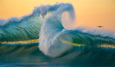Fine Art Photography Bring The Ocean Home With Aaron Changs Art