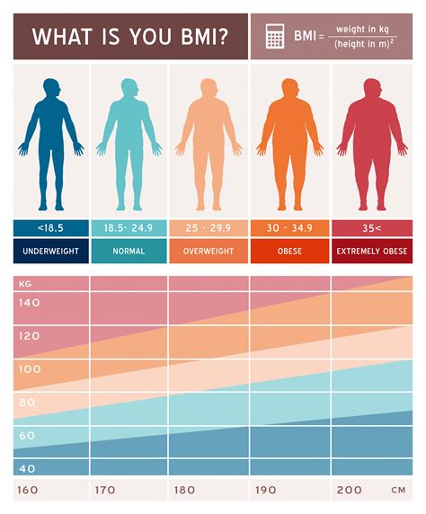 Body Mass Index Bmi Entschlüsselt Ihr Wegweiser Zu Einem Gesunden Gewicht