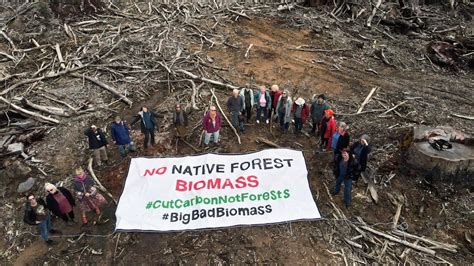 Ending Native Forest Logging Greens Wa