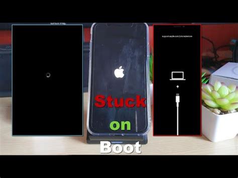 Is your iphone screen stuck on apple logo? iPhone 11/Pro/11 Pro Max Stuck on Apple Logo,spinning ...