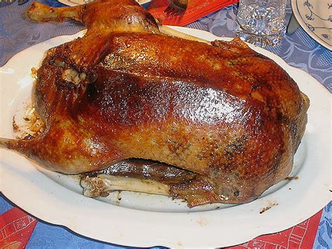 Gefüllte Gans Niedrigtemperatur von matti