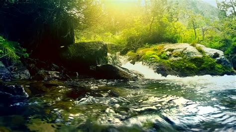 Beautiful Mountain River In The Forest River With Fresh Water Flows
