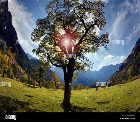 At Tyrol Autumn At Grosser Ahornboden Hdr Image Stock Photo Alamy